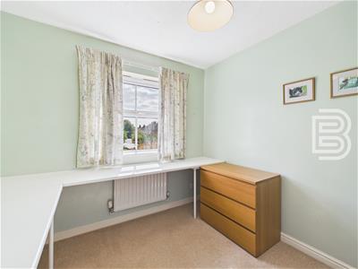 Picture 17